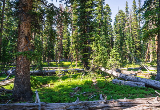 2015 - Wind Rivers Backpacking
