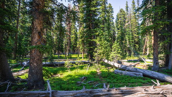 2015 - Wind Rivers Backpacking