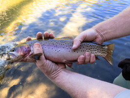 2010 - Comanche Lake